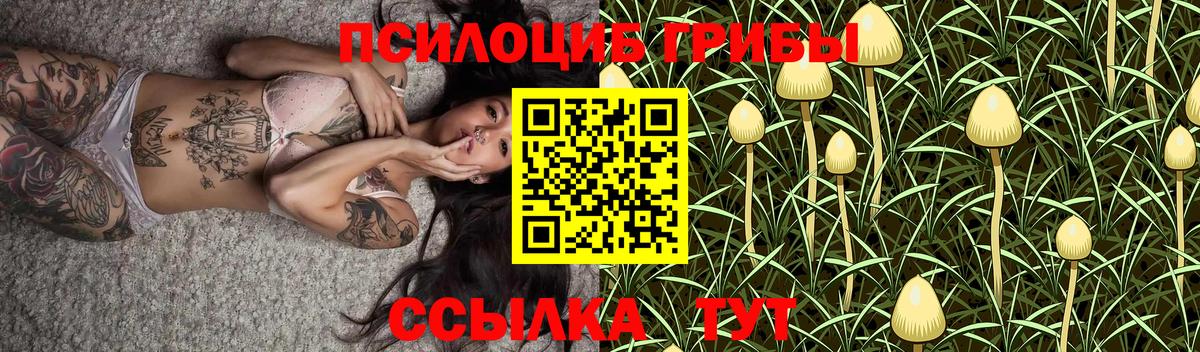 Галлюциногенные грибы Cubensis Десногорск