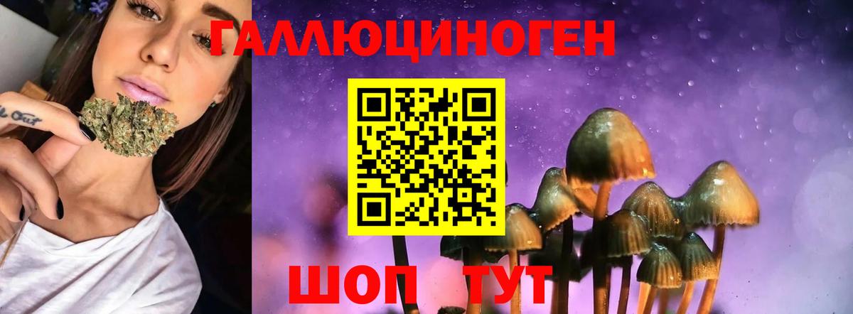 Десногорск  Псилоцибиновые грибы прущие грибы  Галлюциногенные грибы прущие грибы  Вход с VPN 